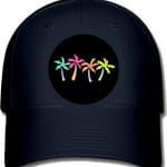 Four Color Palm Tree ball cap