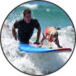 Surfing Dog Tire Cover