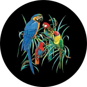 Parrots Spare Tire Cover