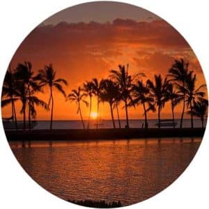 Island #1 Print Redish Sunset through Palm Trees